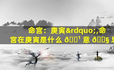命宫：庚寅”,命宫在庚寅是什么 🌹 意 🐧 思